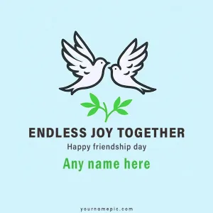 endless joy together